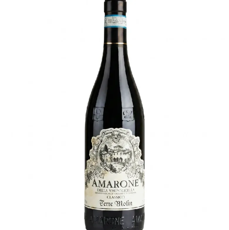 Amarone della Valpolicella DOCG 0,75 L – Terre Molin