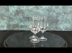 Arcoroc Vap Degustation Viticole smageglas - 12 cl
