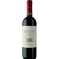 Barbera d’Asti DOCG Bio Rosso Fuoco 2023 0,75 L – Vite Colte