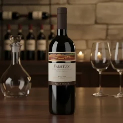 Barolo DOCG Paesi Tuoi 0,75 L – Vite Colte