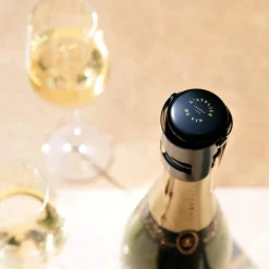 Bouchon Gard'Bulles Métal - boblestopper