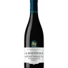 Bourgogne Santenay 1er Cru by Penfol 2017