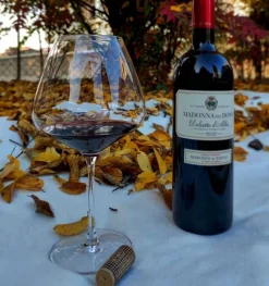 Bourgogne vinglas Masterclass 90 6 stk.