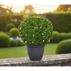 Buxus kuglenet 100 LED'er varm hvid