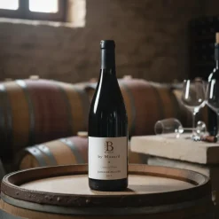 Carte Blanche Côtes du Rhône 0,75 L – Domaine Mazurd