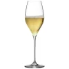 Champagneglas - Bacci - Urban bar