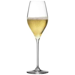 Champagneglas - Bacci - Urban bar
