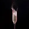 Champagneglas 20 cl - Polycarbonat