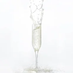 Champagneglas 20 cl - Polycarbonat