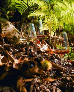Champagneglas Etoile Sparkle 6 stk.