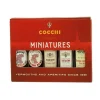 Cocchi Tasting Box 5 x 5 cl