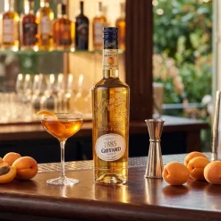 Giffard Liqueur Apricot Brandy / Abrikos FL 70