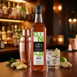 1883 GINGER ALE Mixer Sirup FL 100