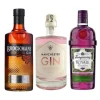 Gin Smagekasse "Frugtige"