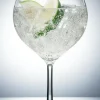 Gin&tonic copaglas 70 cl - Polycarbonat