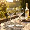 Grand Blanc Vinglas 64 CL P. Jamesse 2 stk.