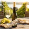 GRÜNER VELTLINER RIED PELLINGEN 2024 Weingut Proidl
