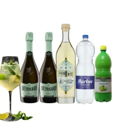 Hugo Spritz - DrinksPakke