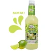 Master Of Mixes Margarita Mixer FL 100