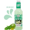 Master Of Mixes Mojito Mixer FL 100