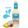 Master Of Mixes Piña Colada Mixer FL 100