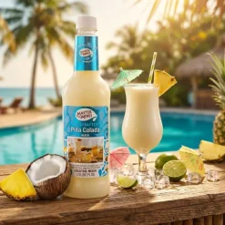 Master Of Mixes Piña Colada Mixer FL 100