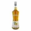 Monin Liqueur Apricot Brandy / Abrikos FL 70