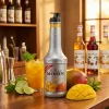 Monin Purémix Mango FL 100
