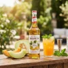 Monin Syrup Melon FL 70