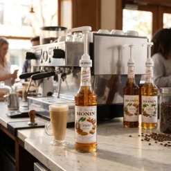 Monin Syrup Pumpe 10ML (70cl)
