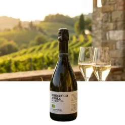 PROSECCO ASOLO SUPERIORE Case Paolin