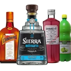 RABARBER MAGARITA- DrinksPakke