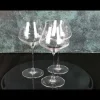 REVEAL'UP INTENSE Vinglas 45cl