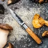 Skrællekniv Smedet Oliven SdV 9cm