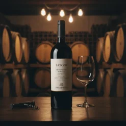 Tatone Montepulciano d’Abruzzo DOC 2019 0,75 L – Terra d’Aligi