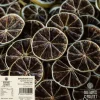 Tørret Lime 500 g | 360 stk (ca)