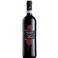 Valpolicella Classico DOC 0,75L – Campagnola