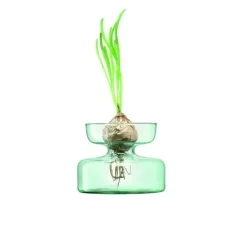 Vase/Løgvase Canopy Genbrugt LSA 10x13x13cm