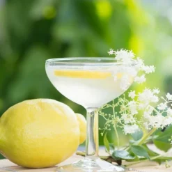 Velkomst Drinkspakke - Hyldeblomst